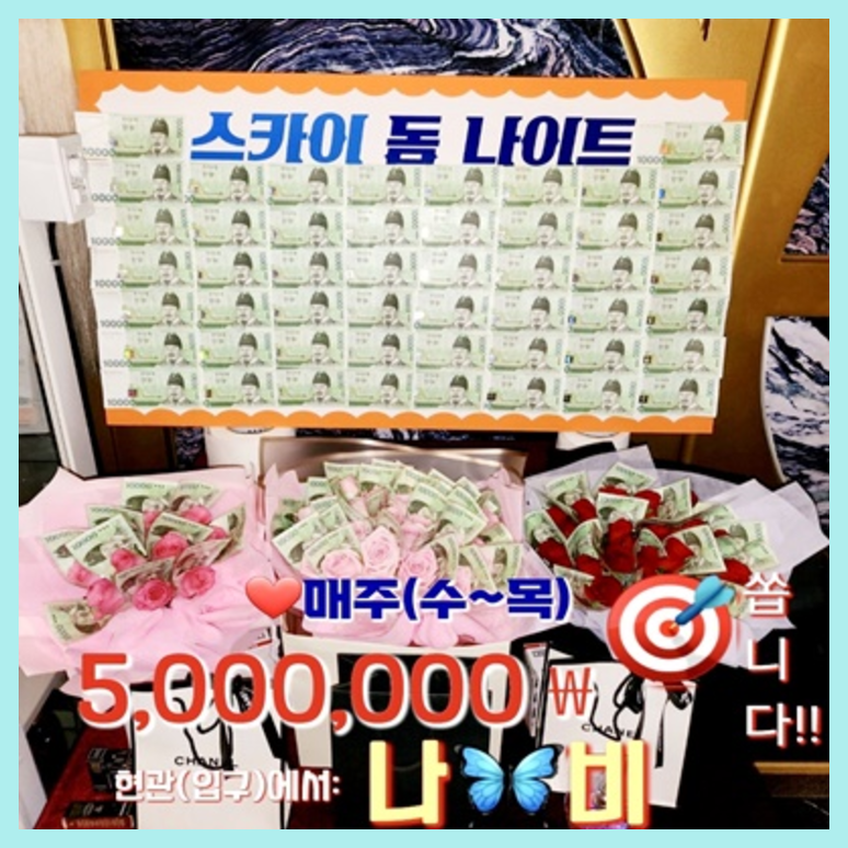 스카이돔나이트