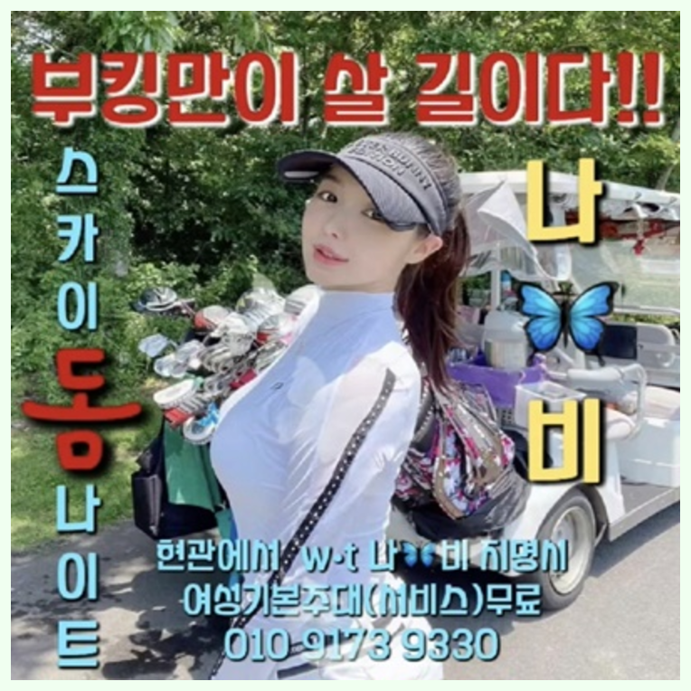 파주스카이돔나이트